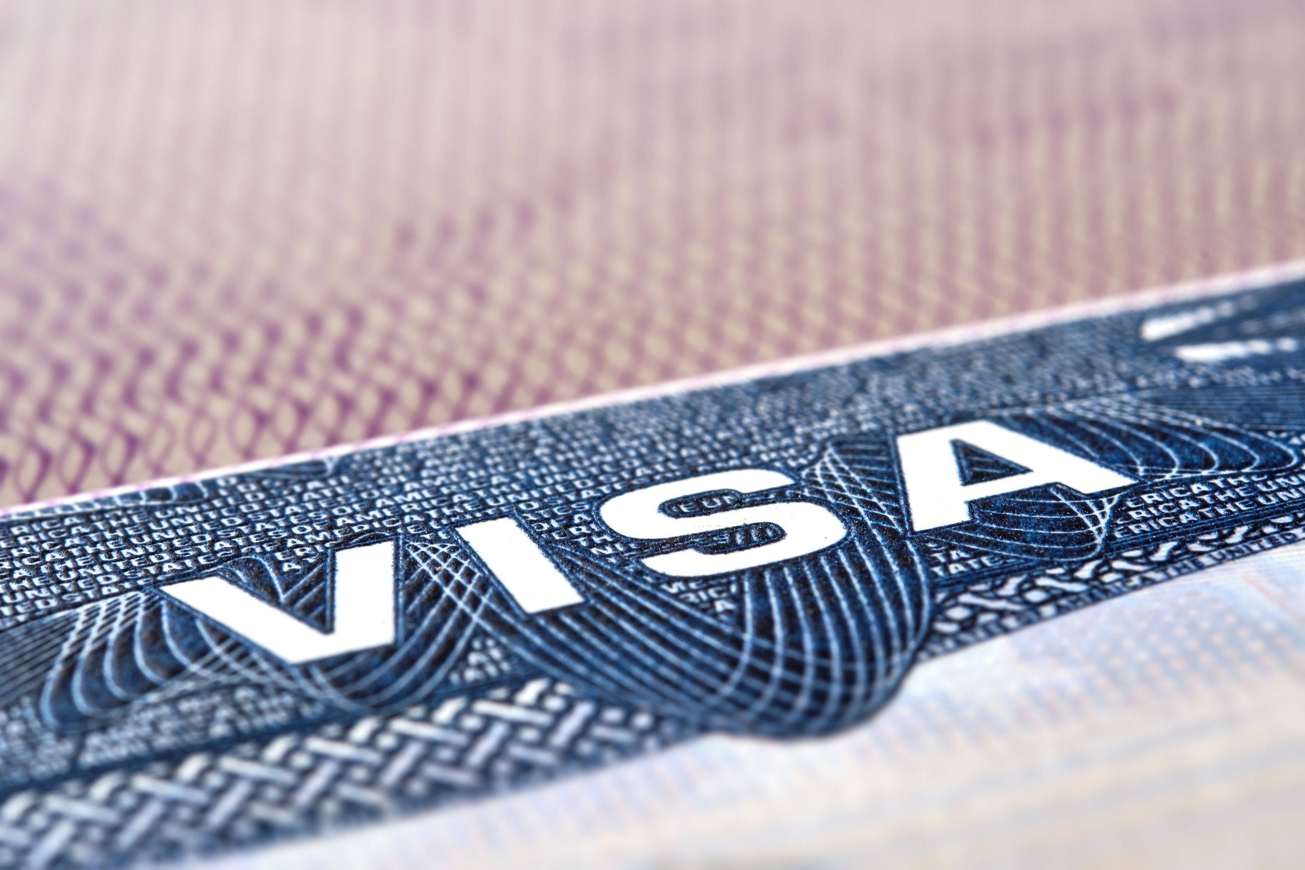Image of a VISA