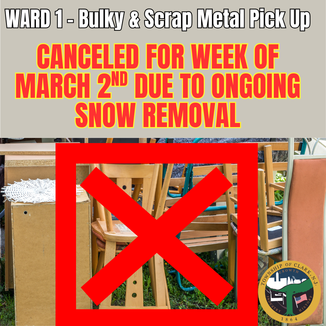 Bulky cancelled flyer (PNG)